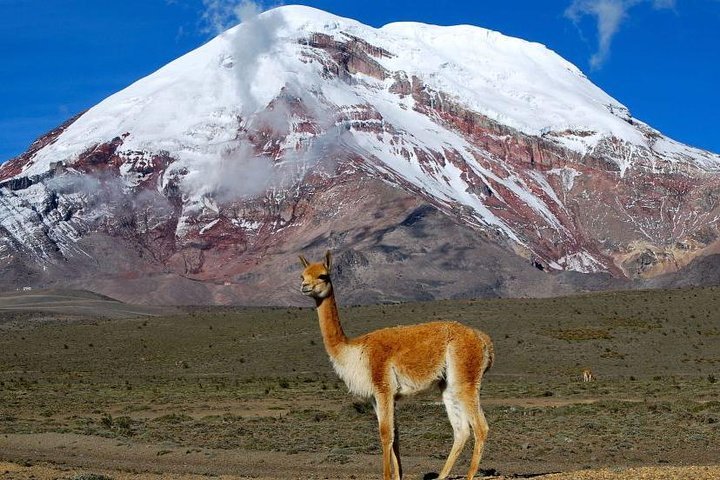 Spas en Chimborazo